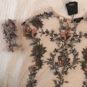 Embroidered Sheer Blush Top